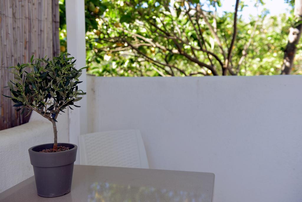 Flora'S Houses Mykonos Klouvas Екстер'єр фото